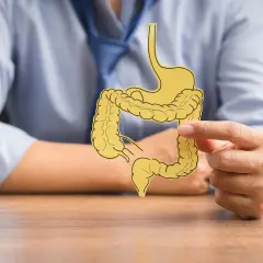 Osoba w niebieskiej koszuli trzyma wycięty z papieru model układu pokarmowego, symbolizujący problemy z jelitami, takie jak colitis ulcerosa.