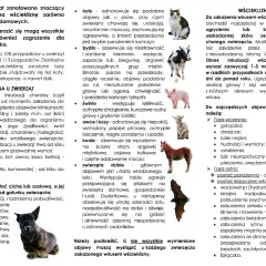 Wścieklizna u ludzi to poważne zagrożenie. Objawy mogą obejmować gorączkę, bóle mięśni, a w fazie ostrej paraliż i zaburzenia świadomości.