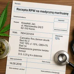 Medyczna marihuana w Polsce: Kto przepisze i jak dostać receptę?