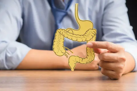 Osoba w niebieskiej koszuli trzyma wycięty z papieru model układu pokarmowego, symbolizujący problemy z jelitami, takie jak colitis ulcerosa.
