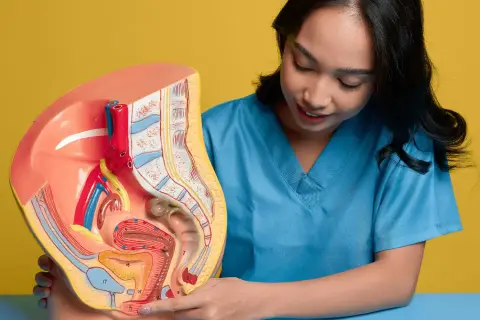 Model anatomiczny narządów rodnych kobiety, omawiany przez lekarkę. Wskazuje na obszar, który może być dotknięty przez grzybicę sromu.