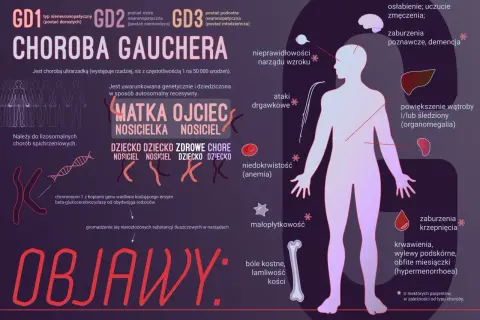 Choroba Gauchera: objawy obejmują bóle kostne, powiększenie narządów, niedokrwistość i zaburzenia krzepnięcia.