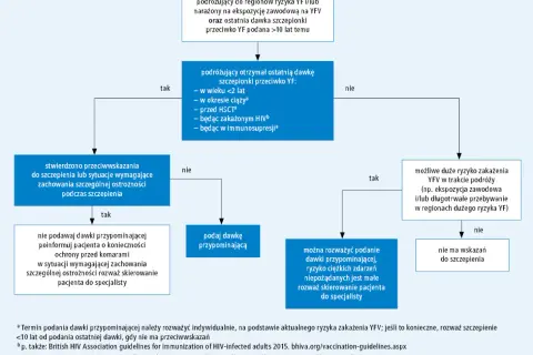 Schemat decyzyjny dotyczący szczepienia przeciwko żółtej gorączce (YF). Określa, kiedy podać dawkę przypominającą, uwzględniając ryzyko zakażenia i przeciwwskazania.
