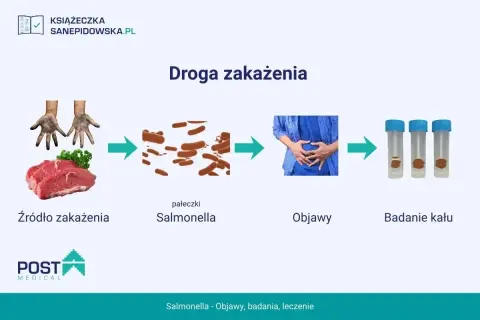 Droga zakażenia salmonellą: surowe mięso, pałeczki, objawy bólu brzucha, badanie kału. Ważne dla zdrowia dzieci.