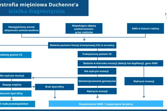 Schemat diagnostyczny dystrofii mięśniowej Duchenne'a (DMD). Analiza objawów, poziomu CK, biopsji mięśnia i badań genetycznych prowadzi do rozpoznania lub wykluczenia choroby.