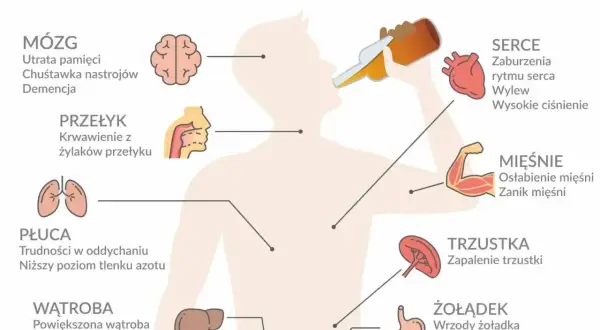 Ilustracja pokazuje skutki nadużywania alkoholu: ból wątroby po alkoholu, problemy z sercem, żołądkiem i innymi organami.