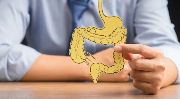 Osoba w niebieskiej koszuli trzyma wycięty z papieru model układu pokarmowego, symbolizujący problemy z jelitami, takie jak colitis ulcerosa.