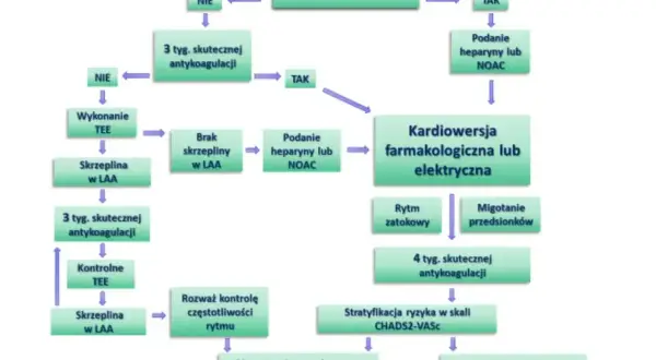 Schemat postępowania przy migotaniu przedsionków. Rozważ polfenon zamienniki, jeśli potrzebujesz alternatywy dla heparyny lub NOAC.
