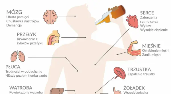 Ilustracja pokazuje skutki nadużywania alkoholu: problemy z mózgiem, sercem, płucami, wątrobą, żołądkiem, mięśniami i trzustką. Odstawienie alkoholu może pomóc w walce z tymi schorzeniami.