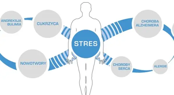 Stres jako źródło chorób cywilizacyjnych: anorexia, bulimia, cukrzyca, nowotwory, choroby serca, alergie, choroba Alzheimera, otyłość, hipowitaminoza.