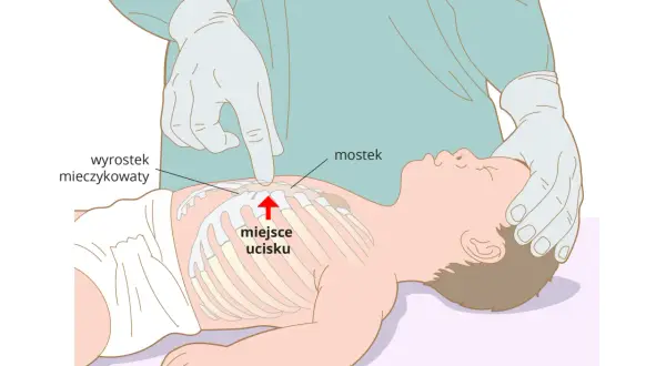 Ile ucisków klatki piersiowej w RKO? Liczby, które musisz znać