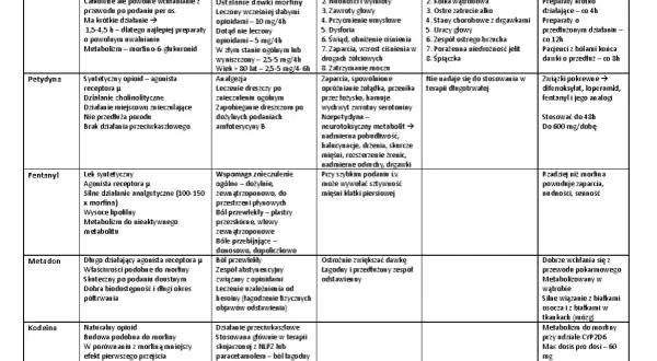 Silny opioidowy lek, który może być stosowany w leczeniu bólu. W tabeli znajdziesz informacje o jego działaniu, wskazaniach i przeciwwskazaniach.