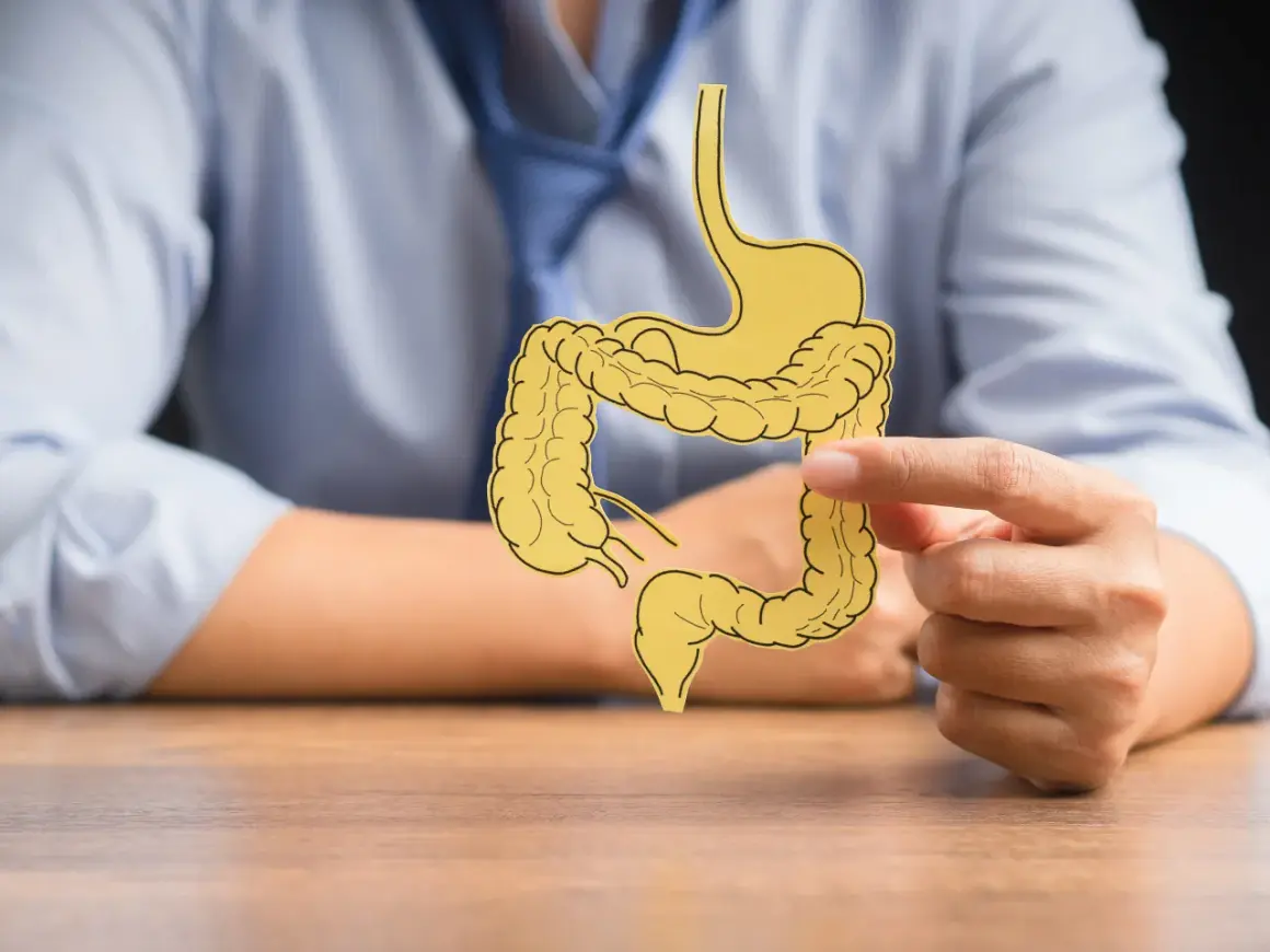 Osoba w niebieskiej koszuli trzyma wycięty z papieru model układu pokarmowego, symbolizujący problemy z jelitami, takie jak colitis ulcerosa.