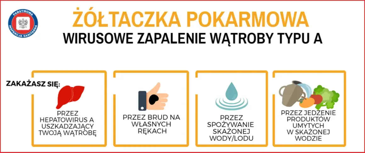 Żółtaczka pokarmowa to choroba zakaźna. Zakażenie wirusem A może nastąpić przez brudne ręce, skażoną wodę lub żywność.