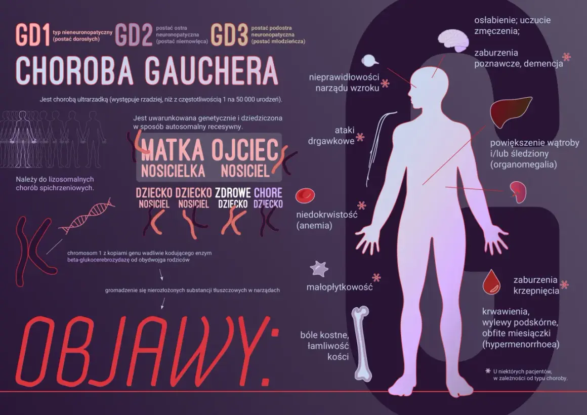 Choroba Gauchera: objawy obejmują bóle kostne, powiększenie narządów, niedokrwistość i zaburzenia krzepnięcia.