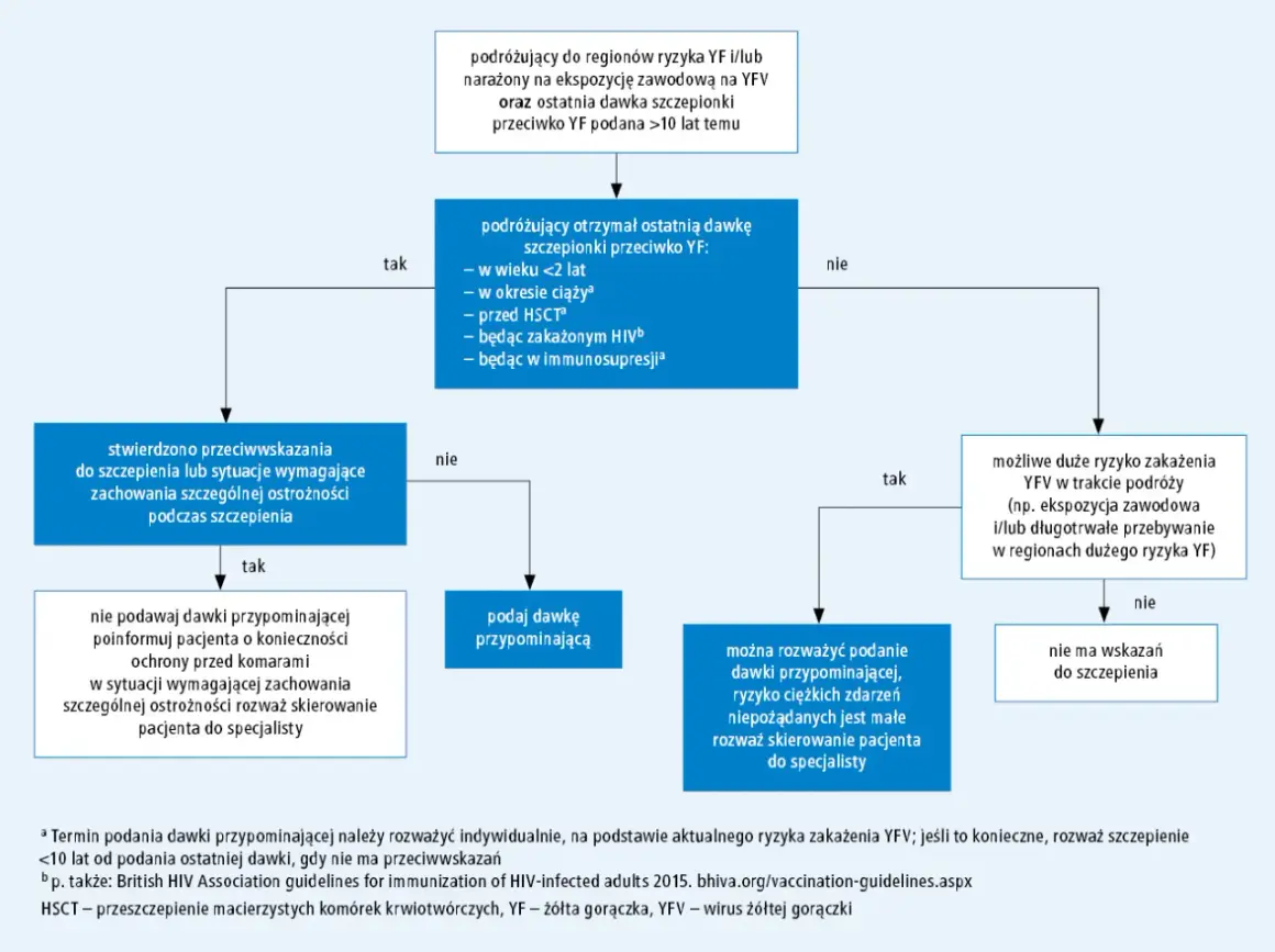 Schemat decyzyjny dotyczący szczepienia przeciwko żółtej gorączce (YF). Określa, kiedy podać dawkę przypominającą, uwzględniając ryzyko zakażenia i przeciwwskazania.