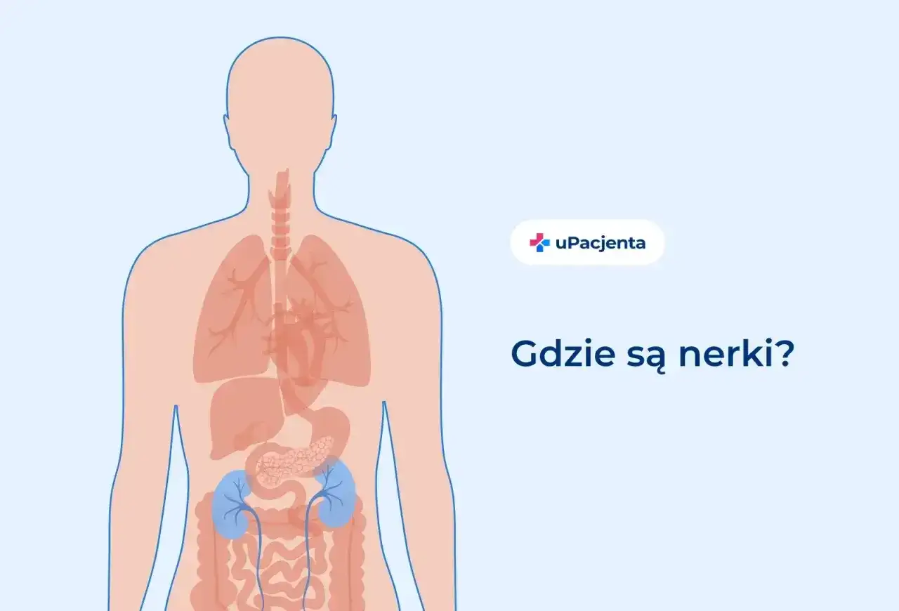 Gdzie boli nerka? Jak rozpoznać ból nerek i nie pomylić go z plecami