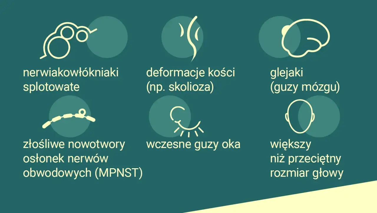 Objawy nerwiakowłókniakowatości: nerwiakowłókniaki splotowate, deformacje kości, glejaki, MPNST, guzy oka, większa głowa.