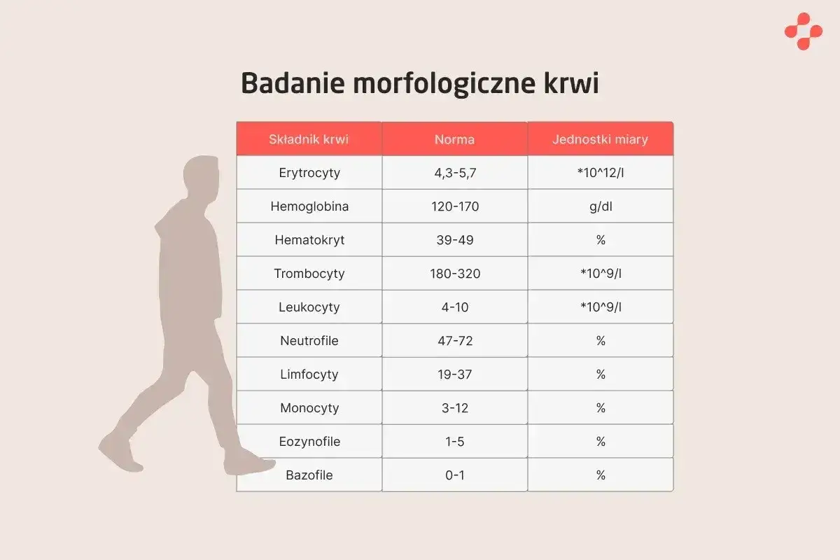 Tabela z badaniem morfologicznym krwi, pokazująca normy dla różnych składników, w tym neutrofili. Niska liczba neutrofili może wskazywać na neutropenię.