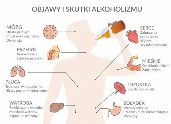 Ilustracja pokazuje skutki nadużywania alkoholu: problemy z mózgiem, sercem, płucami, wątrobą, żołądkiem, mięśniami i trzustką. Odstawienie alkoholu może pomóc w walce z tymi schorzeniami.
